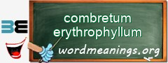 WordMeaning blackboard for combretum erythrophyllum